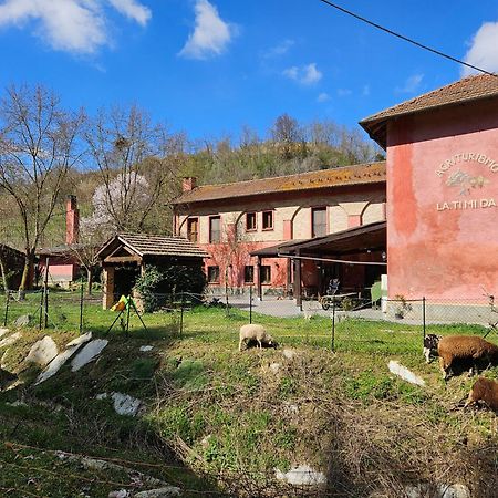 Agriturismo La.Ti.Mi.Da. Cassine Kültér fotó