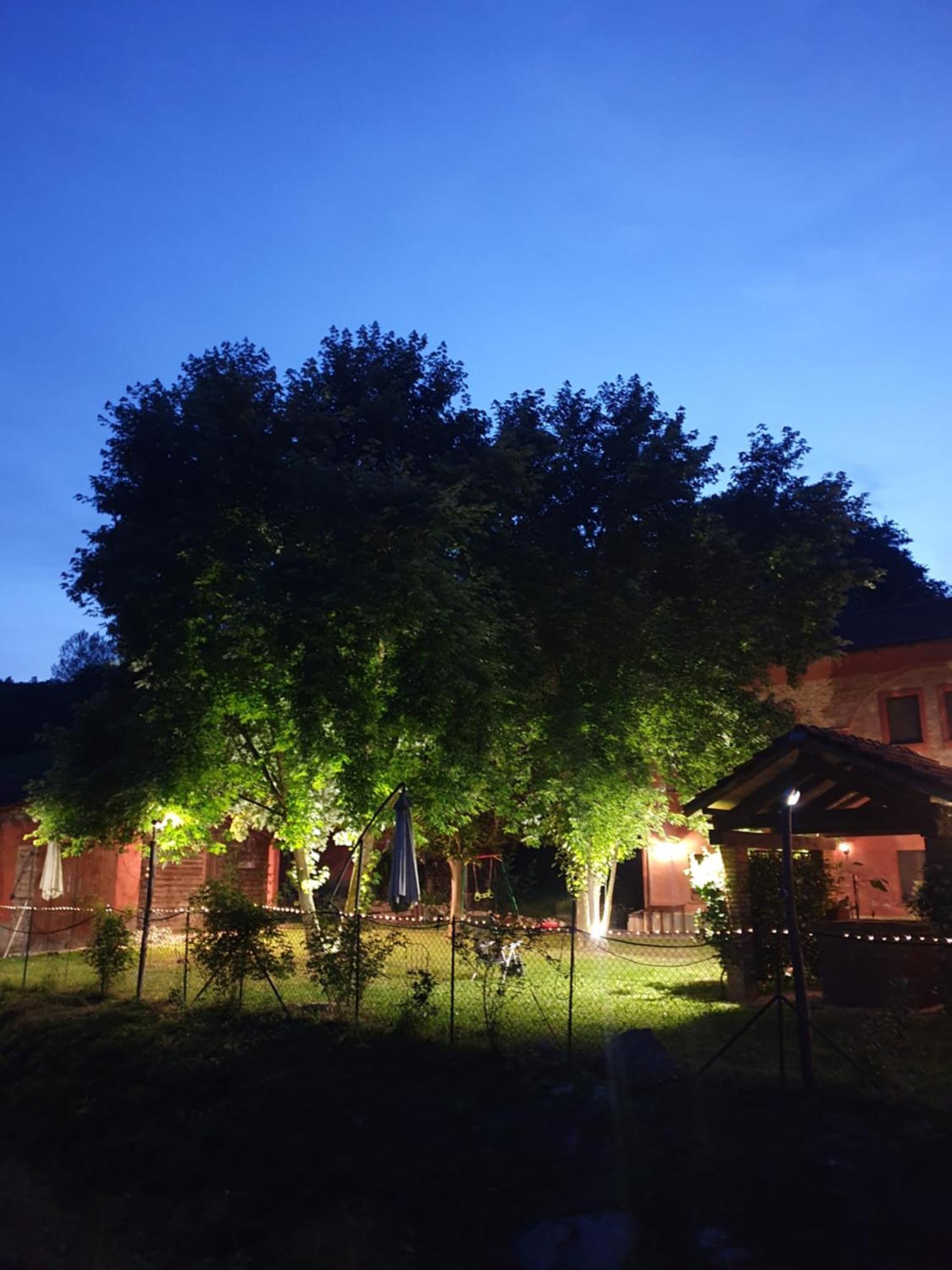Agriturismo La.Ti.Mi.Da. Cassine Kültér fotó