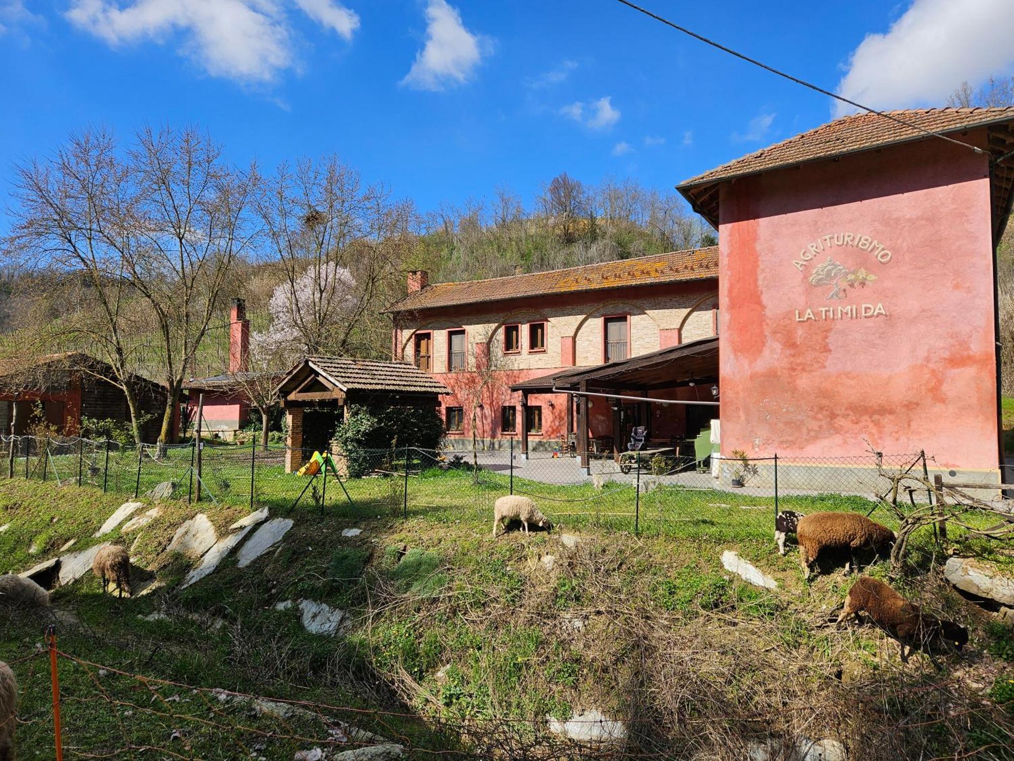 Agriturismo La.Ti.Mi.Da. Cassine Kültér fotó