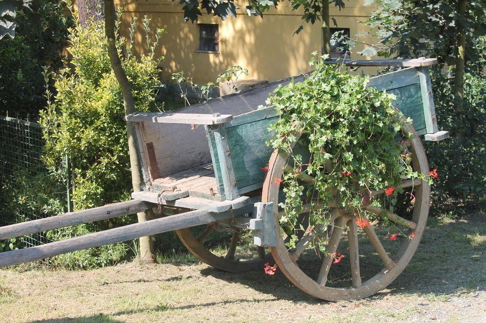 Agriturismo La.Ti.Mi.Da. Cassine Kültér fotó